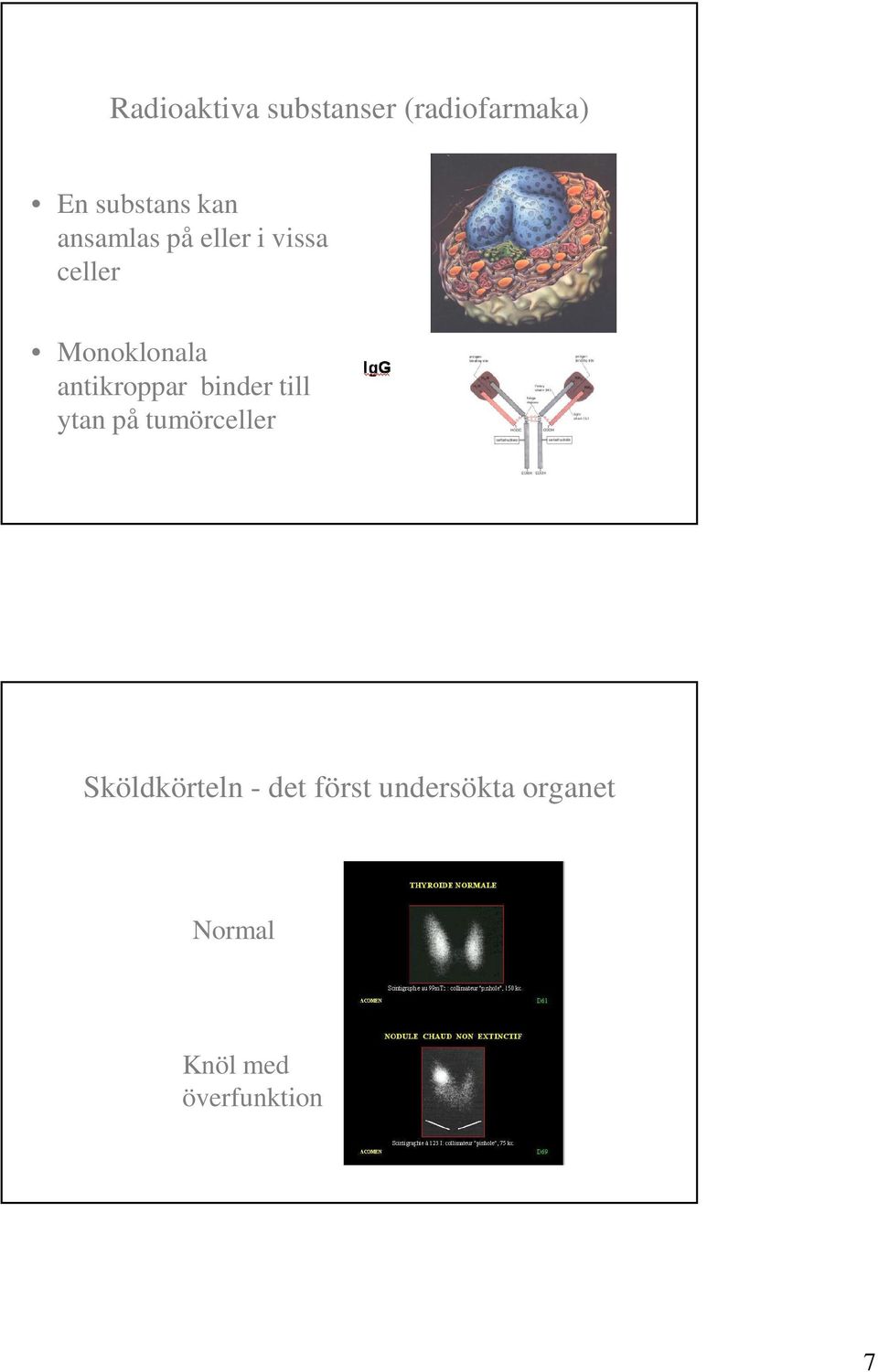 antikroppar binder till ytan på tumörceller