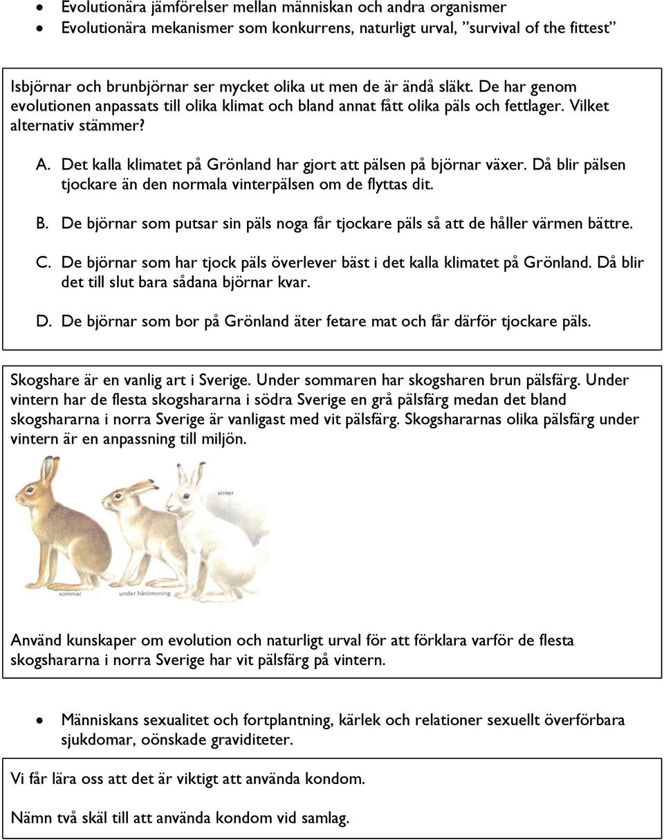 Det kalla klimatet på Grönland har gjort att pälsen på björnar växer. Då blir pälsen tjockare än den normala vinterpälsen om de flyttas dit. B.