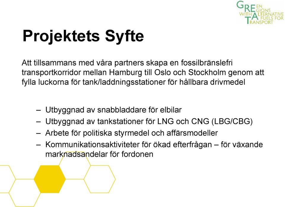 av snabbladdare för elbilar Utbyggnad av tankstationer för LNG och CNG (LBG/CBG) Arbete för politiska