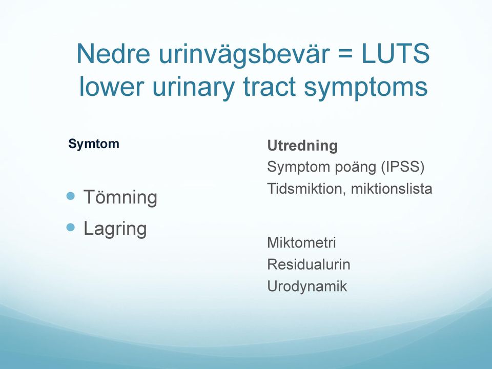 Utredning Symptom poäng (IPSS)