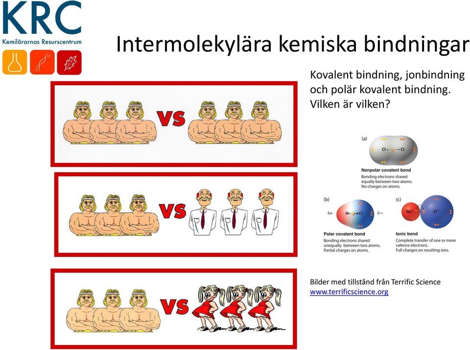 bindning. Vilken är vilken?