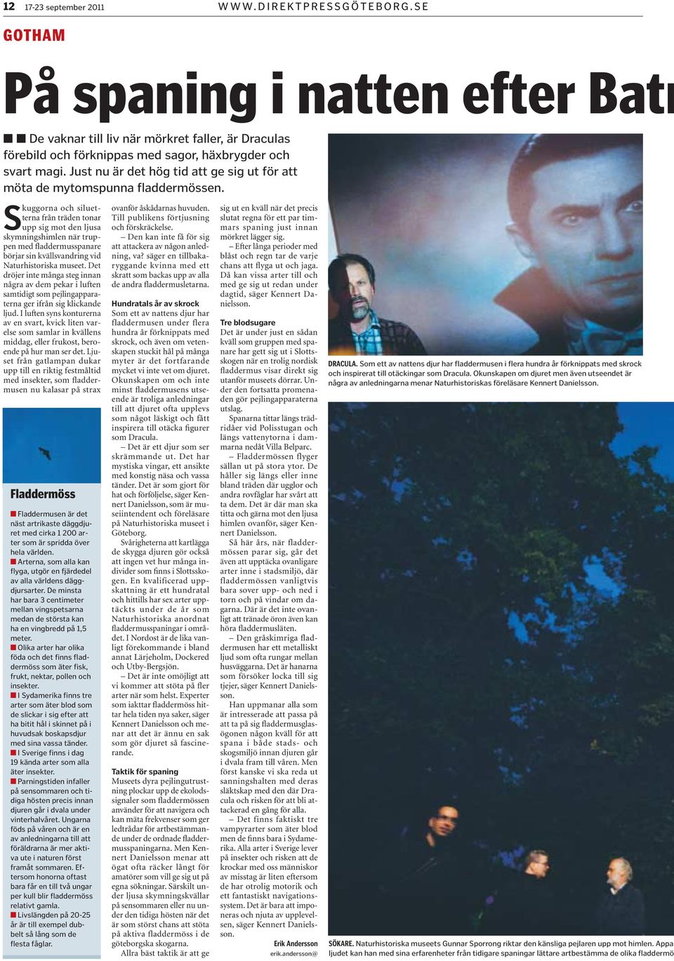 Just nu är det hög tid att ge sig ut för att möta de mytomspunna fladdermössen. gbg.direktpress.