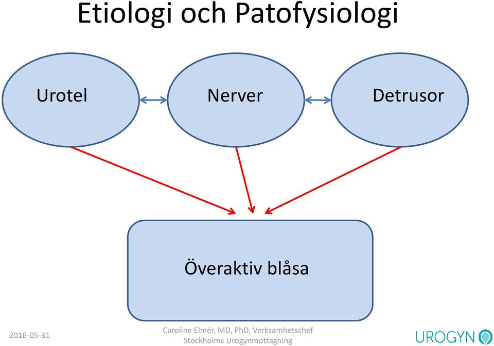 Urotel Nerver