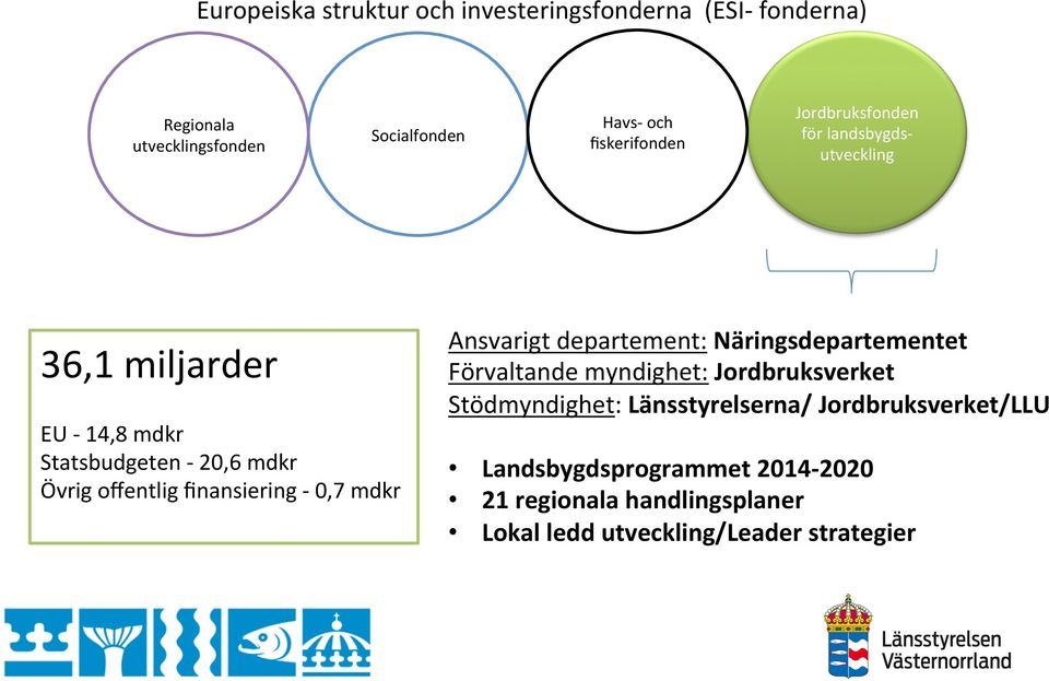 offentlig finansiering - 0,7 mdkr Ansvarigt departement: Näringsdepartementet Förvaltande myndighet: Jordbruksverket