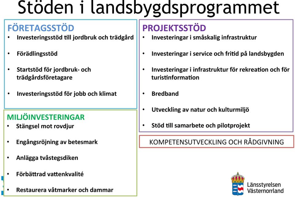 infrastruktur Investeringar i service och frimd på landsbygden Investeringar i infrastruktur för rekreamon och för turismnformamon Bredband Utveckling av