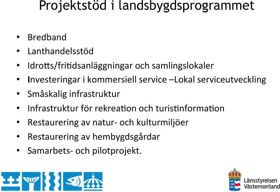 Lokal serviceutveckling Småskalig infrastruktur Infrastruktur för rekrea`on och