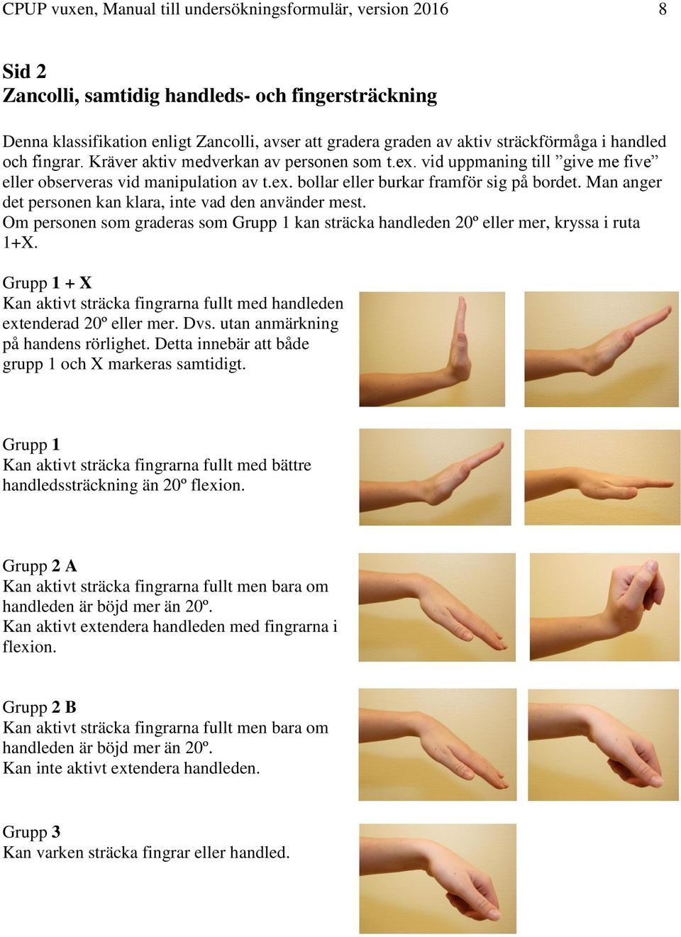 Man anger det personen kan klara, inte vad den använder mest. Om personen som graderas som Grupp 1 kan sträcka handleden 20º eller mer, kryssa i ruta 1+X.