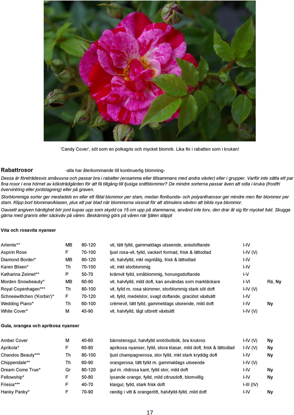 Varför inte sätta ett par fina rosor i ena hörnet av köksträdgården för att få tillgång till tjusiga snittblommor?