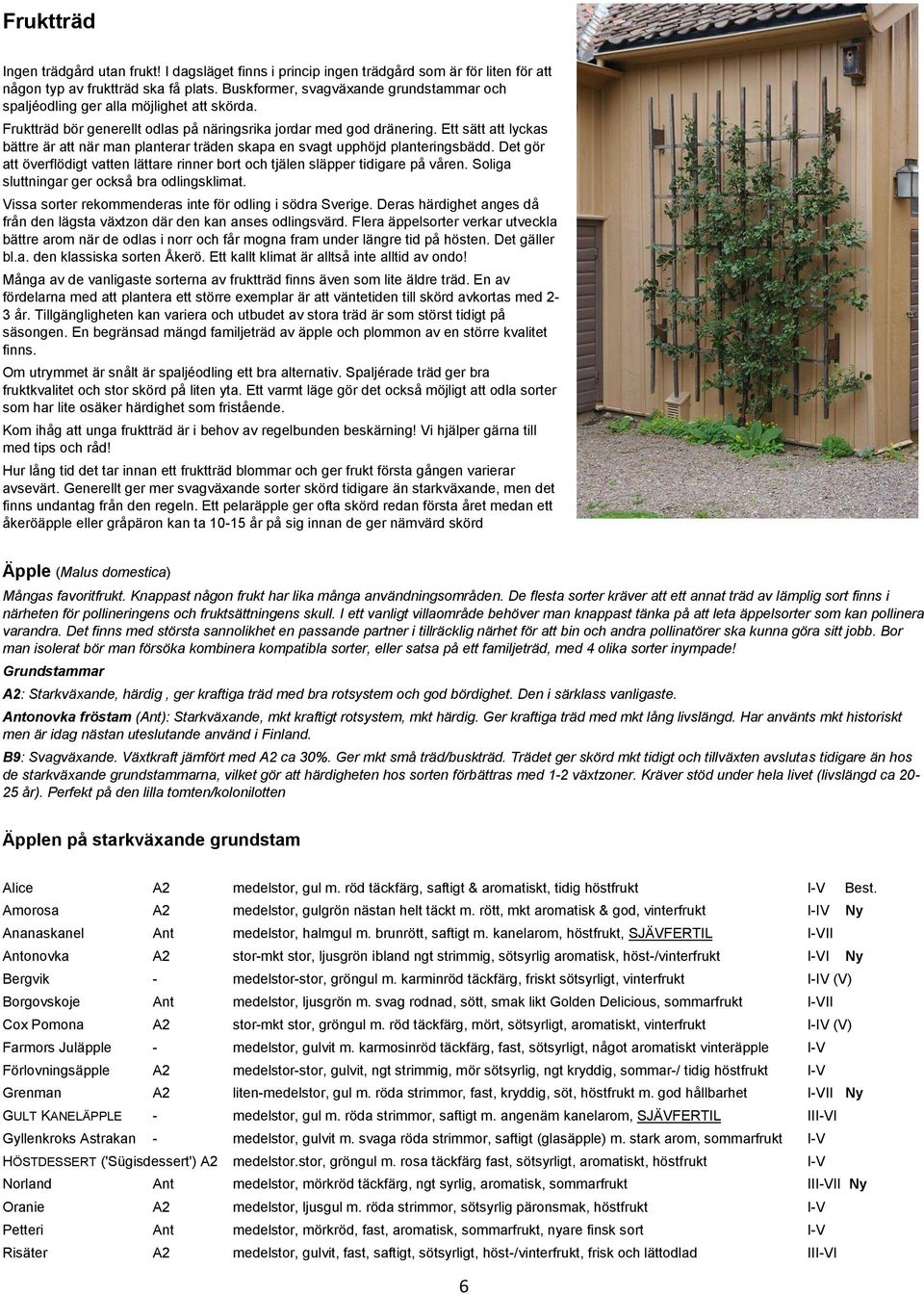 Ett sätt att lyckas bättre är att när man planterar träden skapa en svagt upphöjd planteringsbädd. Det gör att överflödigt vatten lättare rinner bort och tjälen släpper tidigare på våren.