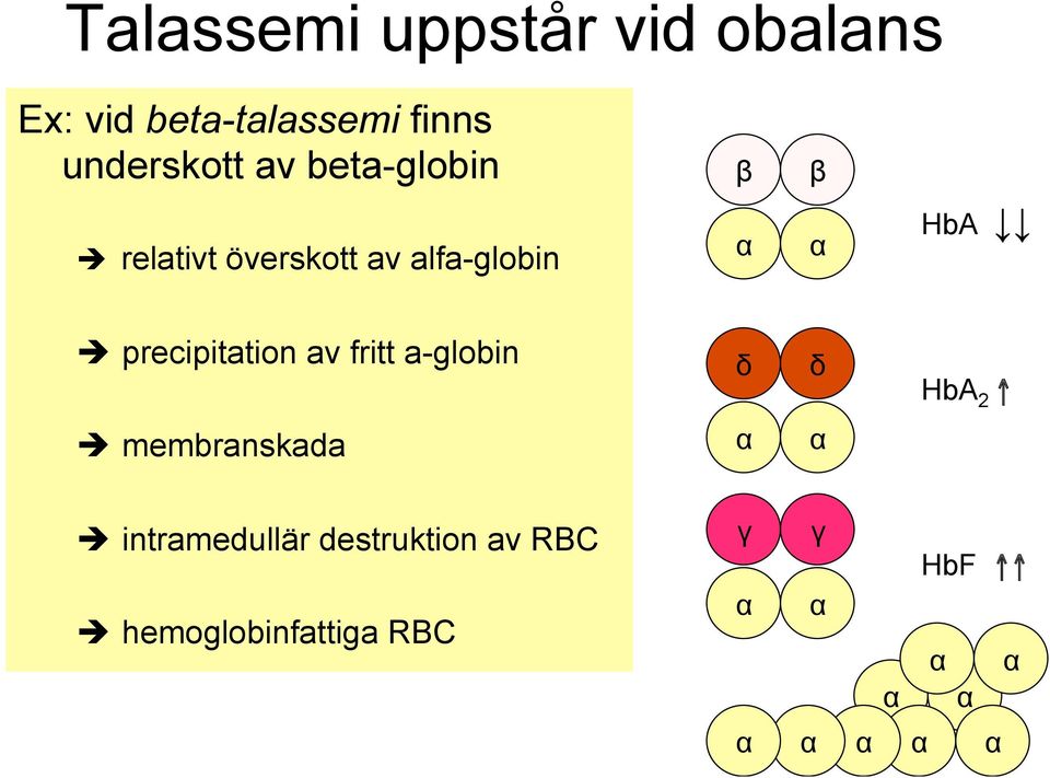 precipitation av fritt a-globin δ δ HbA 2 è membranskada α α è