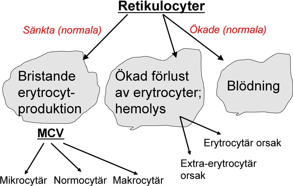 erytrocyter; hemolys Blödning Erytrocytär orsak