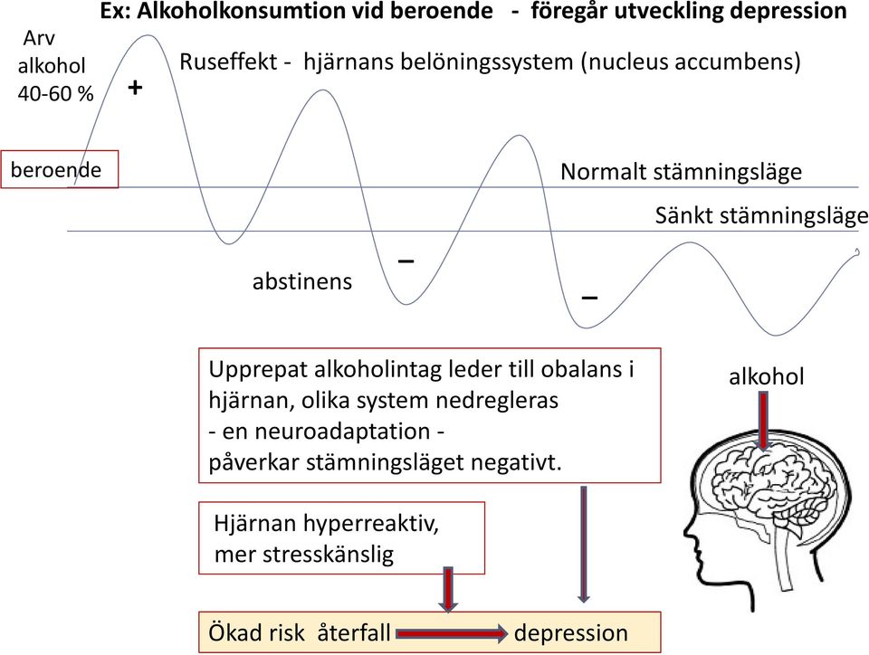 stämningsläge Upprepat alkoholintag leder till obalans i hjärnan, olika system nedregleras - en