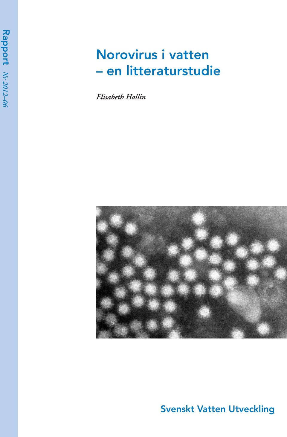 litteraturstudie