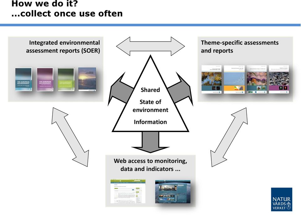 assessment reports (SOER) Theme-specific assessments