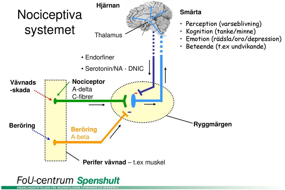 (rädsla/oro/depression) Beteende (t.
