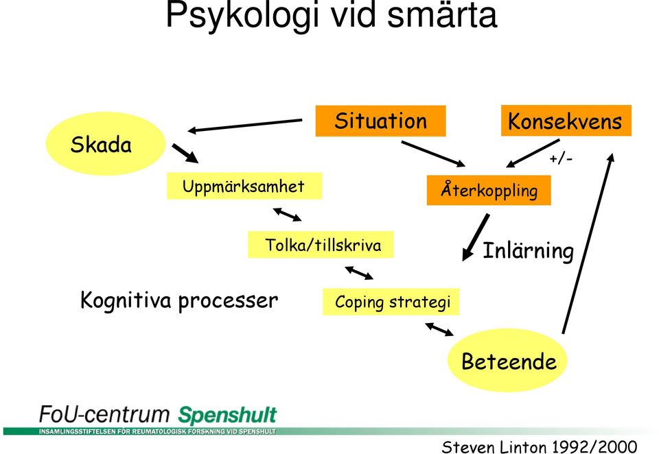 Tolka/tillskriva Inlärning Kognitiva