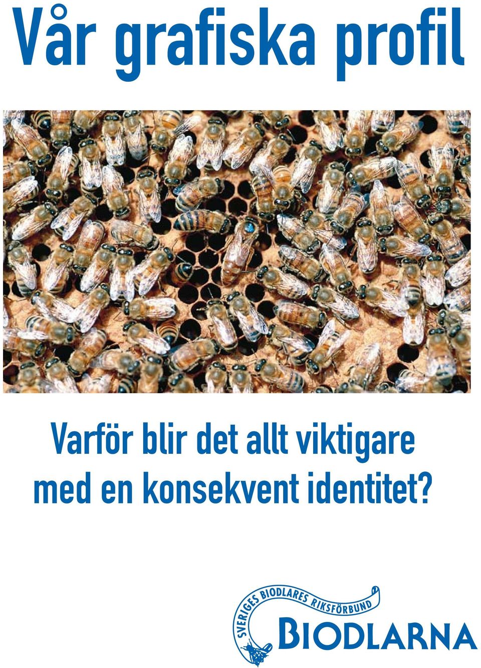 det allt viktigare