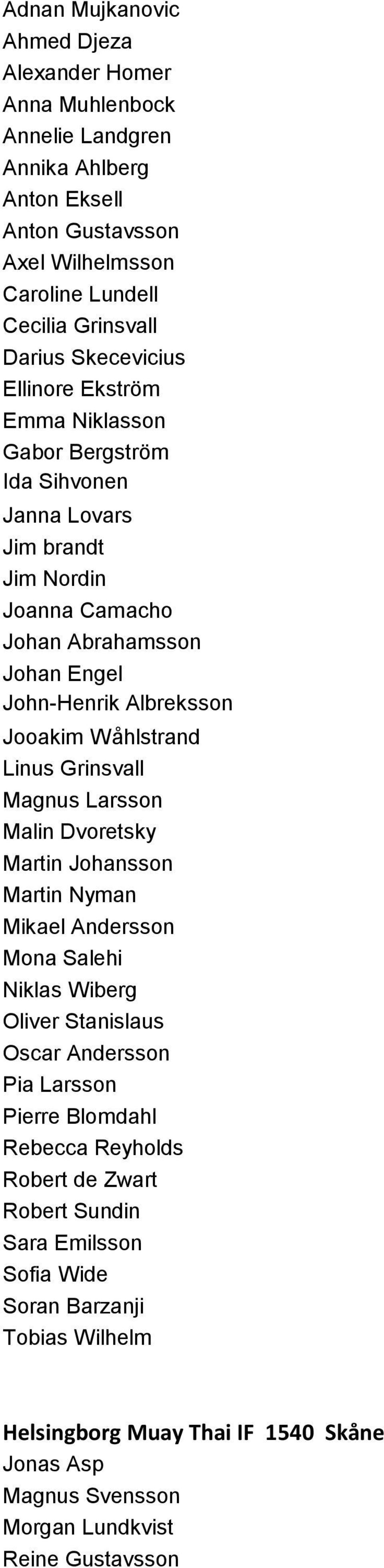 Wåhlstrand Linus Grinsvall Magnus Larsson Malin Dvoretsky Martin Johansson Martin Nyman Mikael Andersson Mona Salehi Niklas Wiberg Oliver Stanislaus Oscar Andersson Pia Larsson Pierre