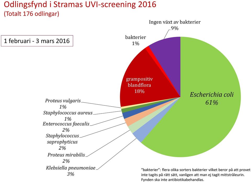 2% Klebsiella pneumoniae 3% grampositiv blandflora 18% Escherichia coli 61% bakterier : flera olika sorters bakterier vilket