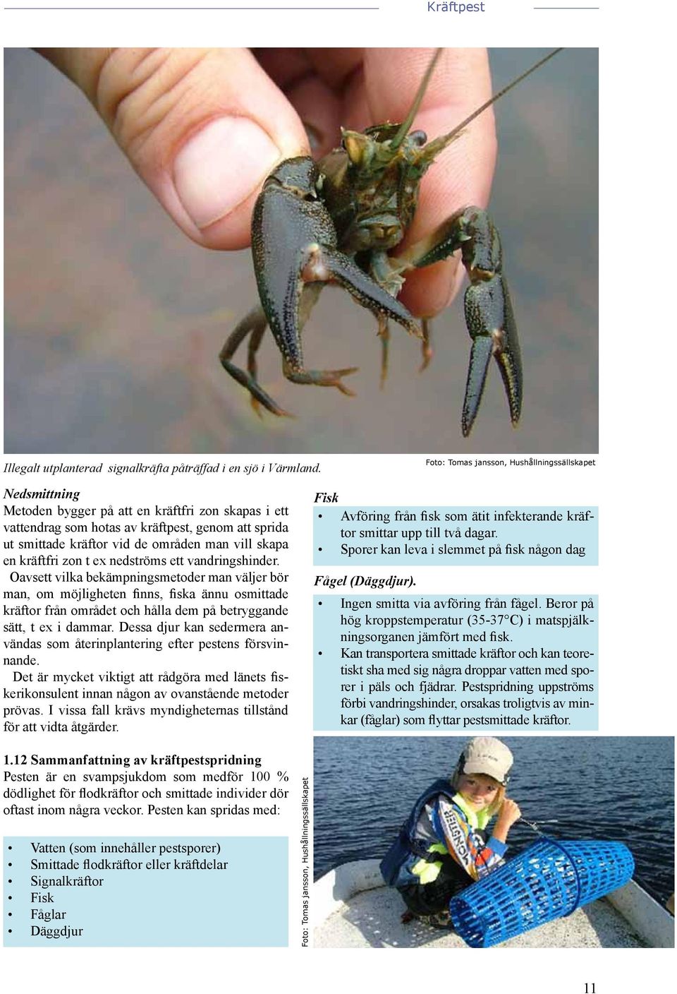 vill skapa en kräftfri zon t ex nedströms ett vandringshinder.