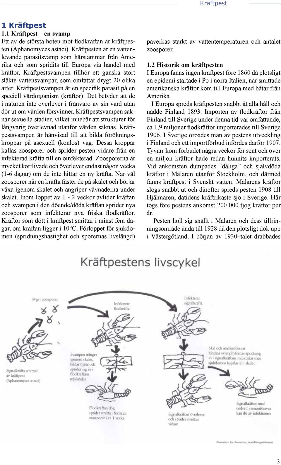 Kräftpestsvampen tillhör ett ganska stort släkte vattensvampar, som omfattar drygt 20 olika arter. Kräftpestsvampen är en specifik parasit på en speciell värdorganism (kräftor).