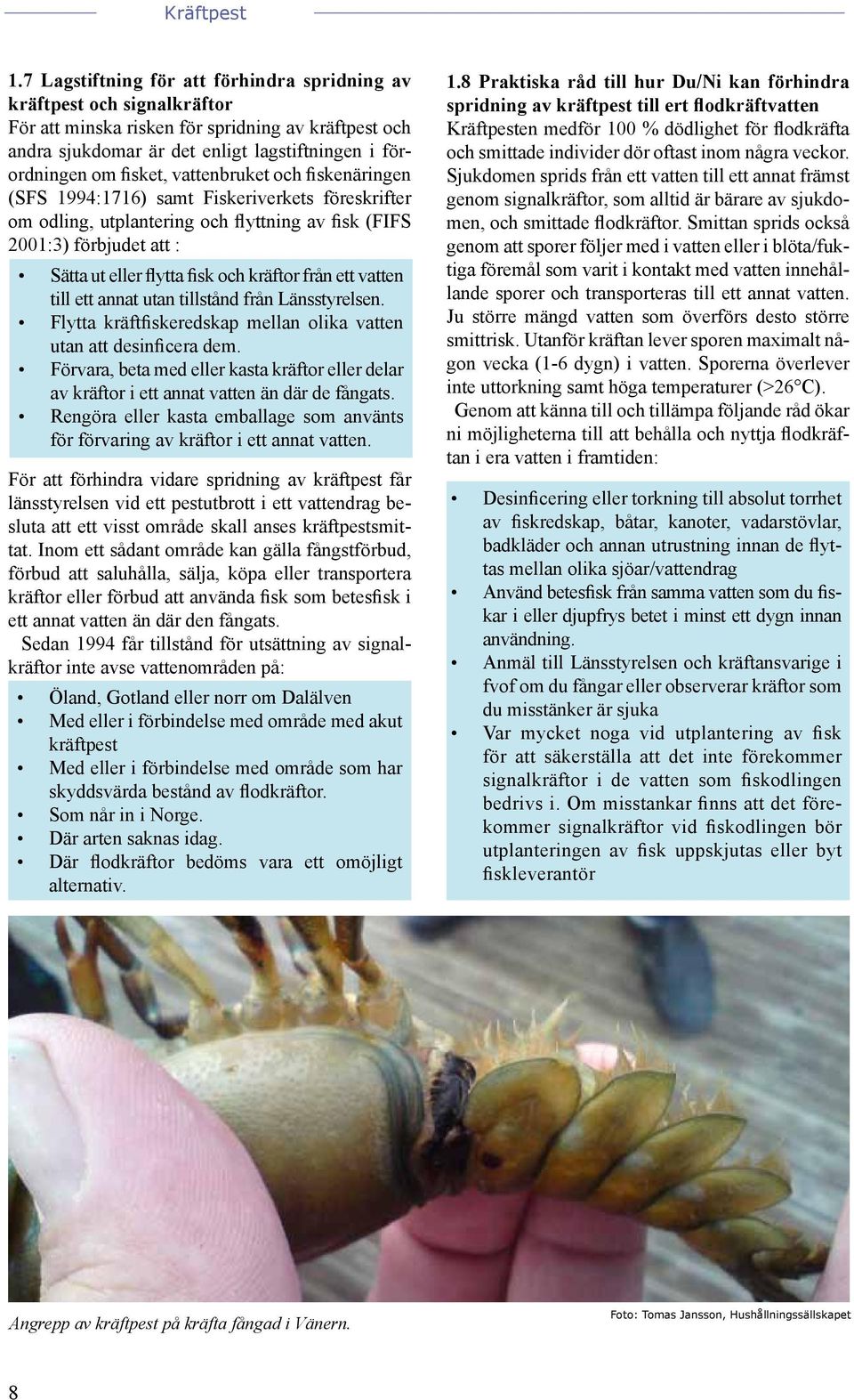 ett vatten till ett annat utan tillstånd från Länsstyrelsen. Flytta kräftfiskeredskap mellan olika vatten utan att desinficera dem.