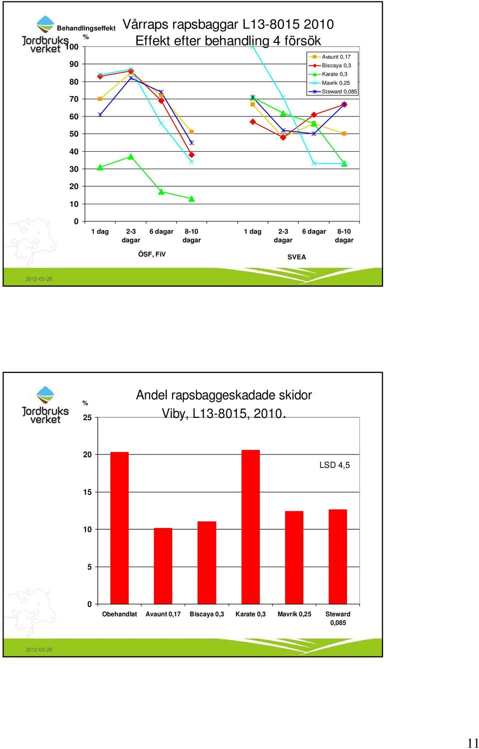 dagar 8-10 dagar 1 dag 2-3 dagar 6 dagar 8-10 dagar ÖSF, FiV SVEA % 25 Andel rapsbaggeskadade skidor