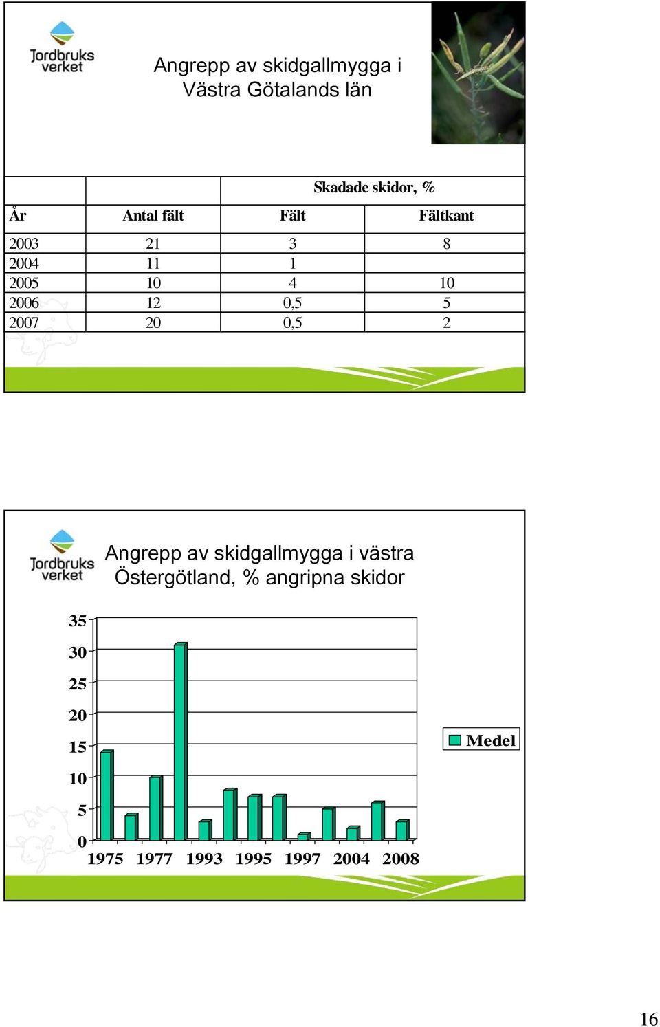 5 2007 20 0,5 2 35 30 25 Angrepp av skidgallmygga i västra