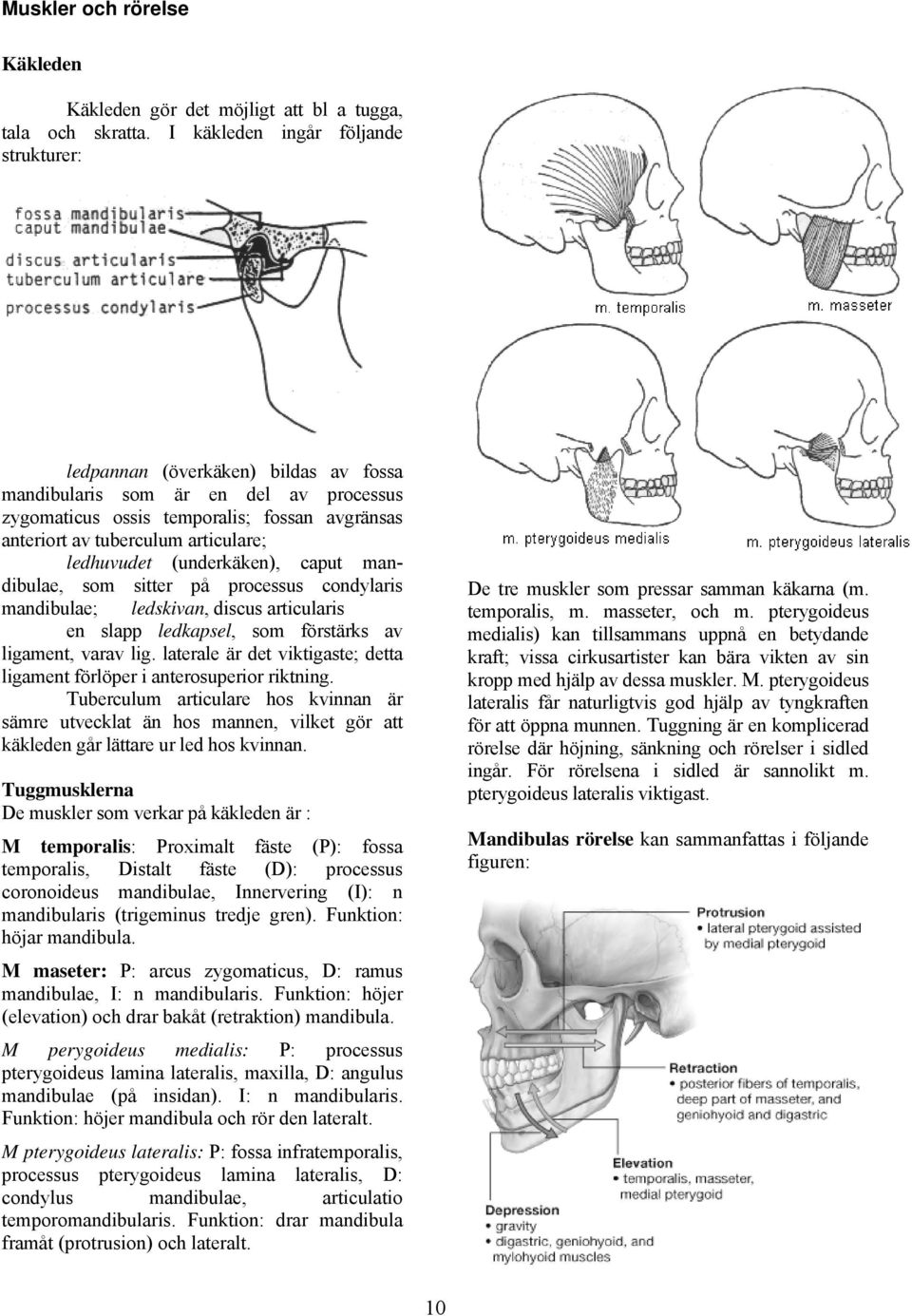 ledhuvudet (underkäken), caput mandibulae, som sitter på processus condylaris mandibulae; ledskivan, discus articularis en slapp ledkapsel, som förstärks av ligament, varav lig.