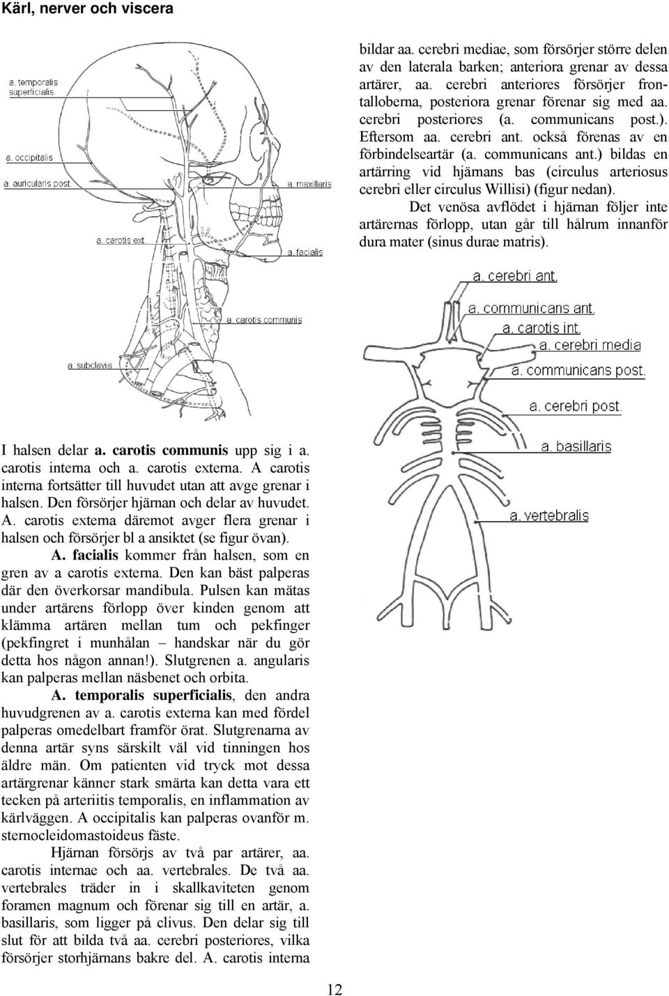 communicans ant.) bildas en artärring vid hjärnans bas (circulus arteriosus cerebri eller circulus Willisi) (figur nedan).