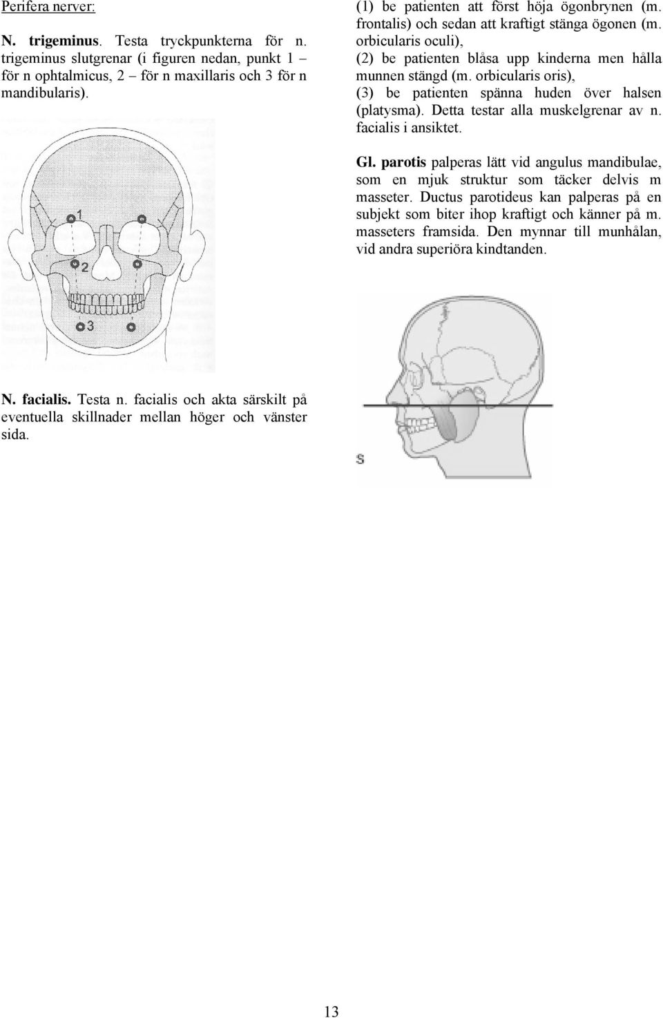 orbicularis oris), (3) be patienten spänna huden över halsen (platysma). Detta testar alla muskelgrenar av n. facialis i ansiktet. Gl.
