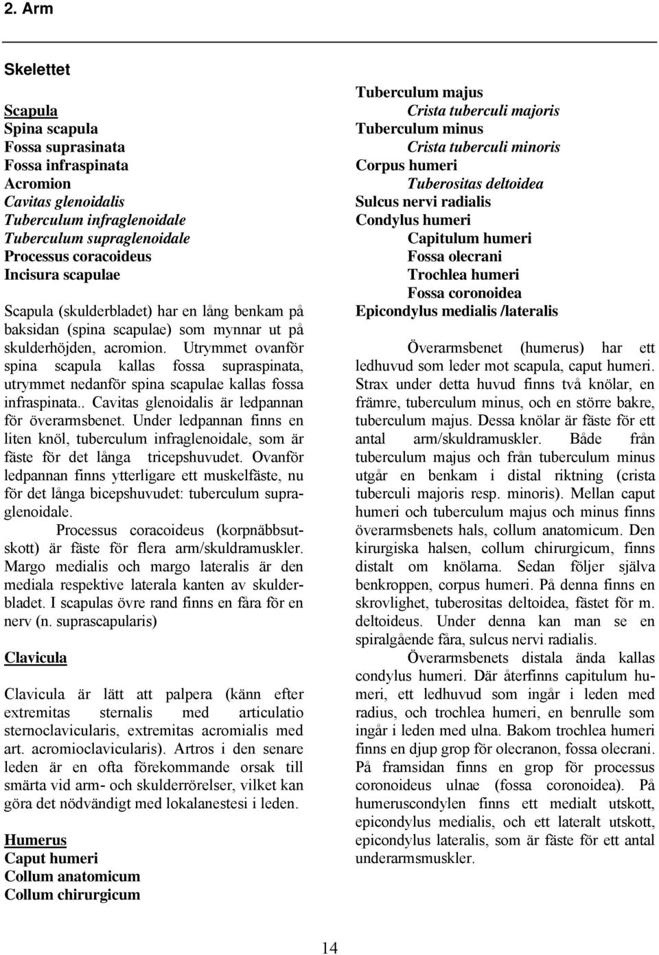 Utrymmet ovanför spina scapula kallas fossa supraspinata, utrymmet nedanför spina scapulae kallas fossa infraspinata.. Cavitas glenoidalis är ledpannan för överarmsbenet.