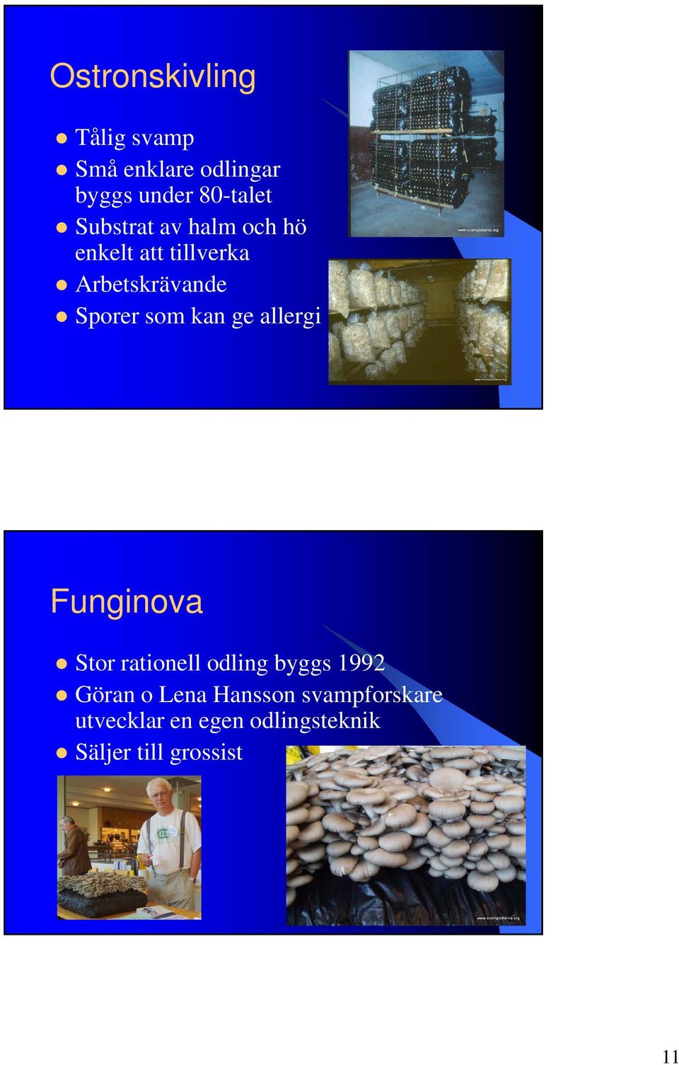 kan ge allergi Funginova Stor rationell odling byggs 1992 Göran o Lena
