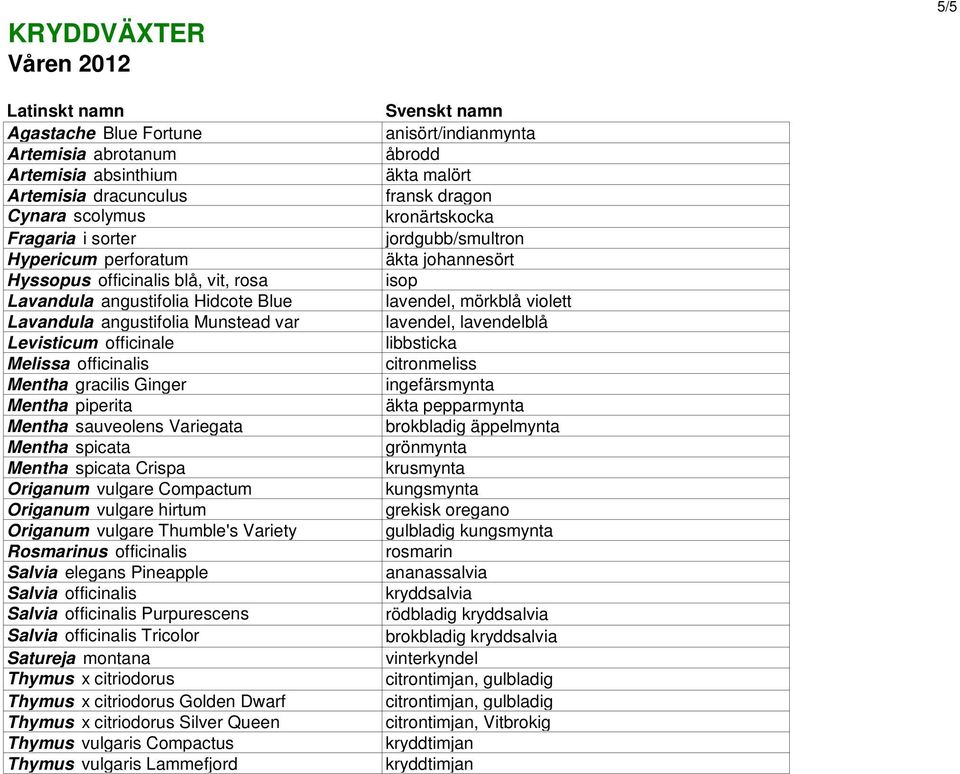 Mentha spicata Crispa Origanum vulgare Compactum Origanum vulgare hirtum Origanum vulgare Thumble's Variety Rosmarinus officinalis Salvia elegans Pineapple Salvia officinalis Salvia officinalis