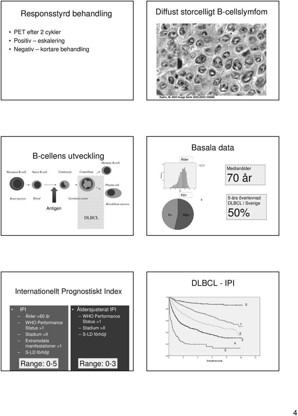 år Bone marrow Blood Germinal centre Antigen DLBL Blood/bone marrow Kv Kön Män 5-års överlevnad DLBL i Sverige 50% Internationellt rognostiskt Index DLBL - II II