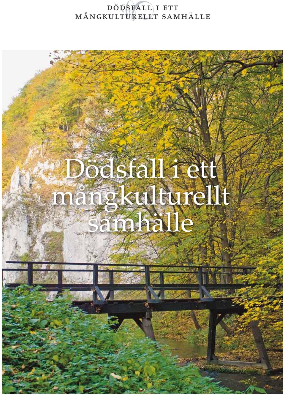 samhälle Dödsfall i