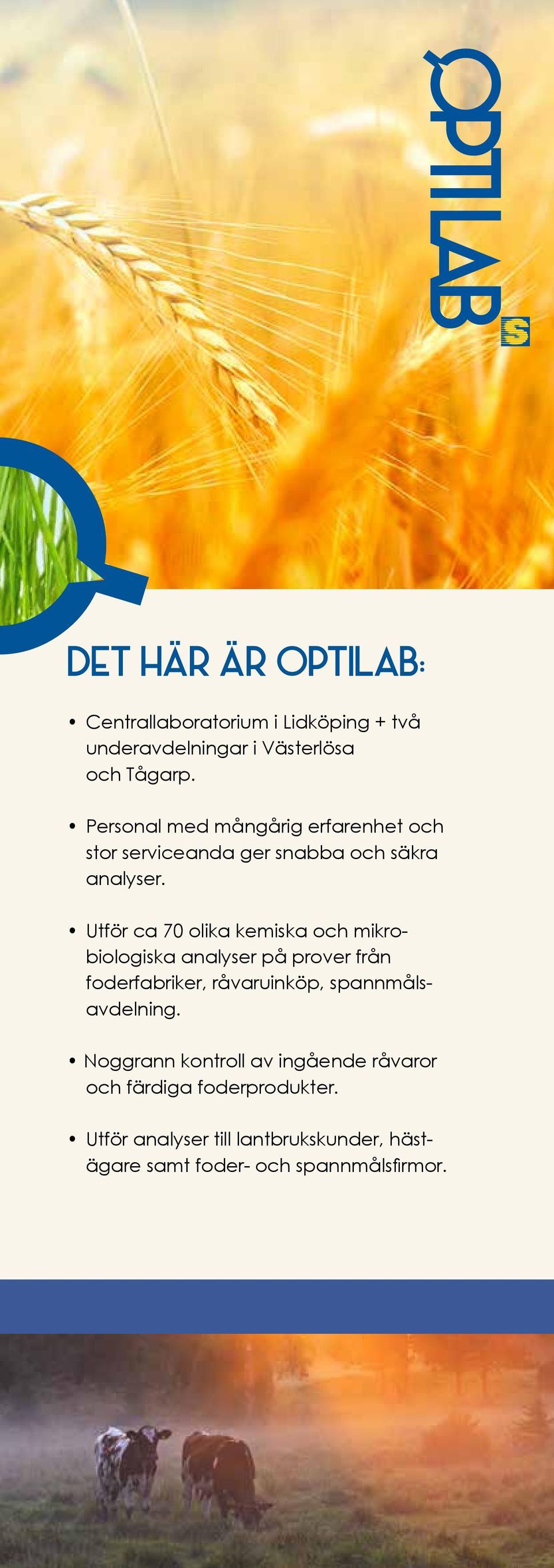 Utför ca 70 olika kemiska och mikrobiologiska analyser på prover från foderfabriker, råvaruinköp,