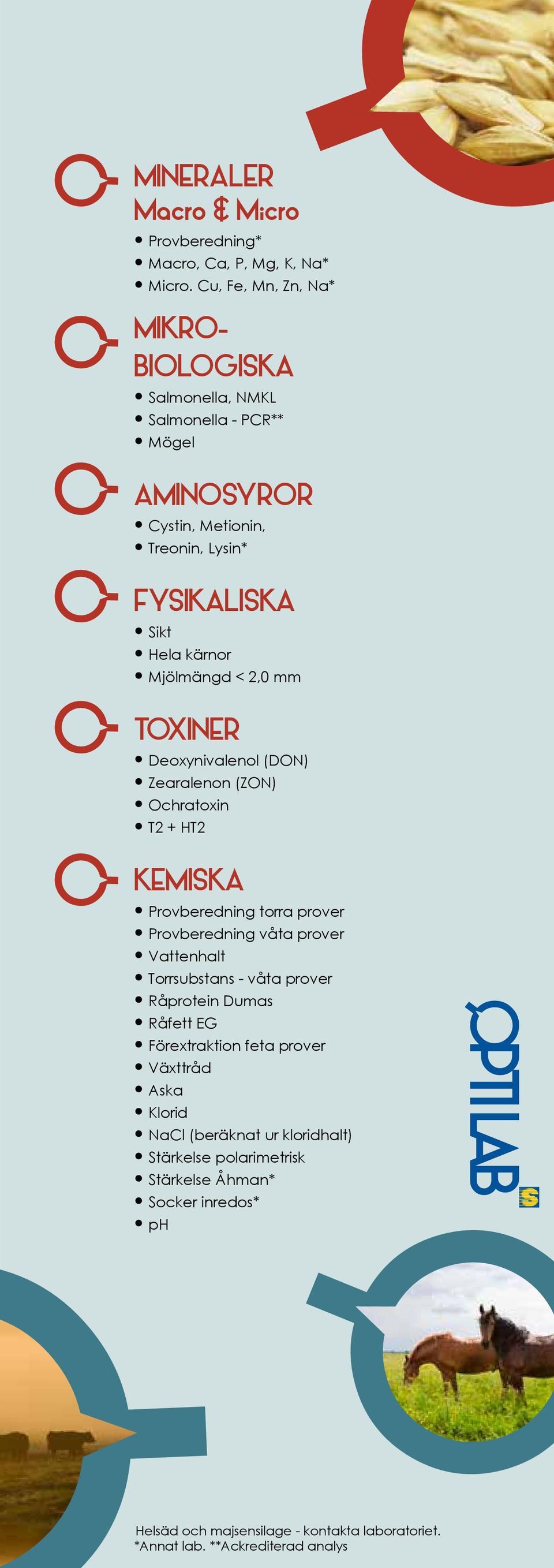 Mjölmängd < 2,0 mm TOXINER Deoxynivalenol (DON) Zearalenon (ZON) Ochratoxin T2 + HT2 KEMISKA Provberedning torra prover Provberedning våta prover Torrsubstans -