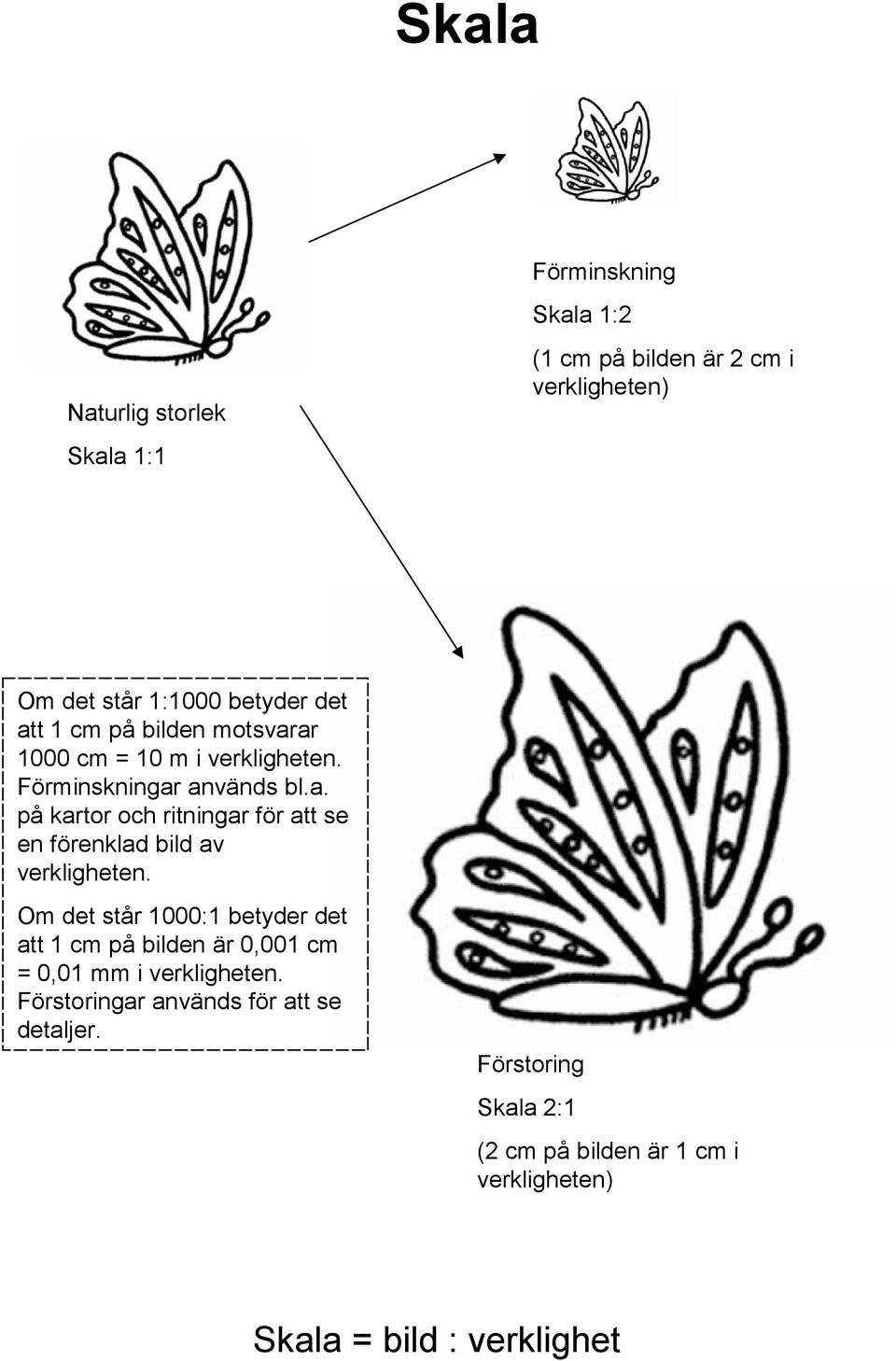 Om det står 1000:1 etyder det att 1 cm på ilden är 0,001 cm = 0,01 mm i verkligeten.