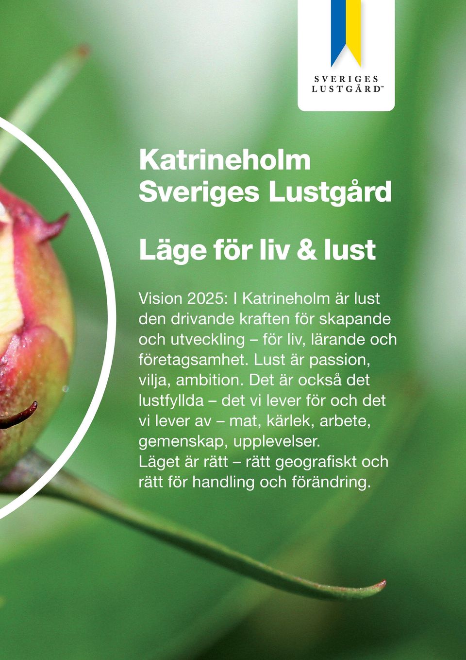 Lust är passion, vilja, ambition.