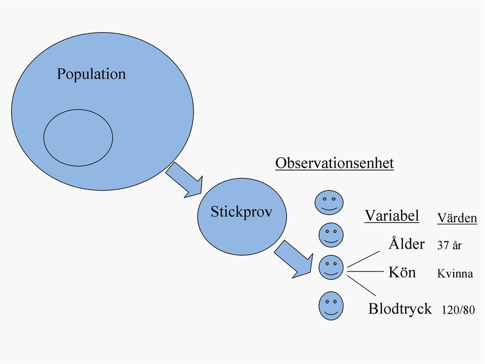 Stickprov Variabel