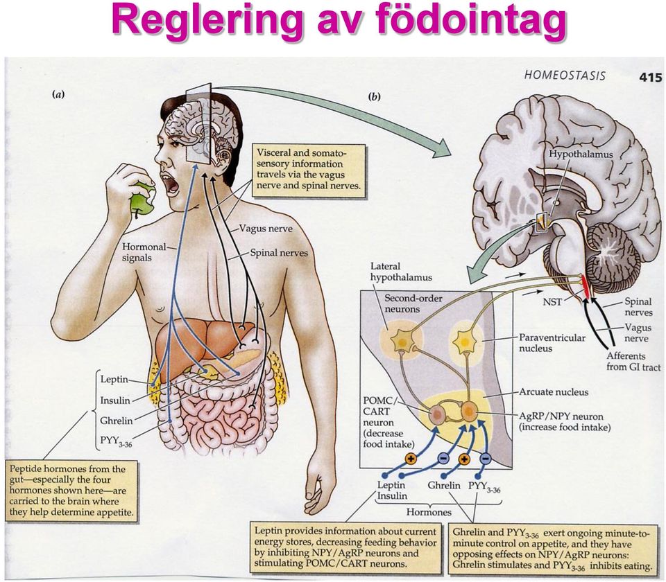 födointag