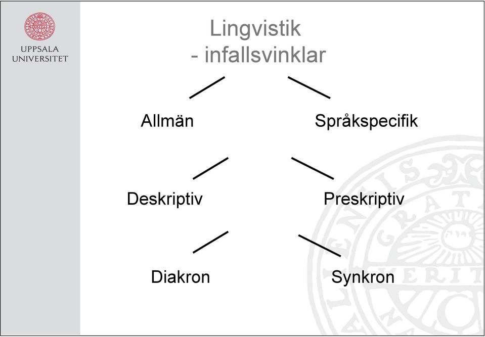 Språkspecifik