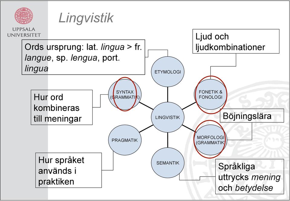 SYNTAX (GRAMMATIK) LINGVISTIK FONETIK & FONOLOGI Böjningslära PRAGMATIK