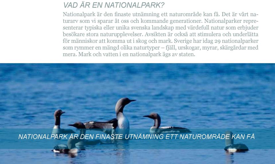 Nationalparker representerar typiska eller unika svenska landskap med värdefull natur som erbjuder besökare stora naturupplevelser.