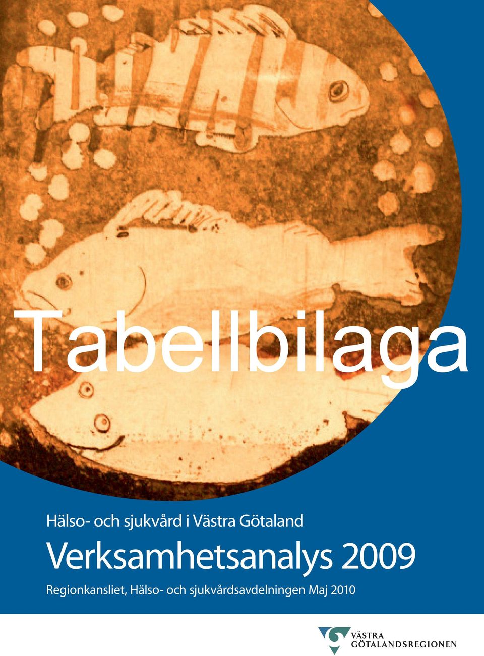 Verksamhetsanalys 2009