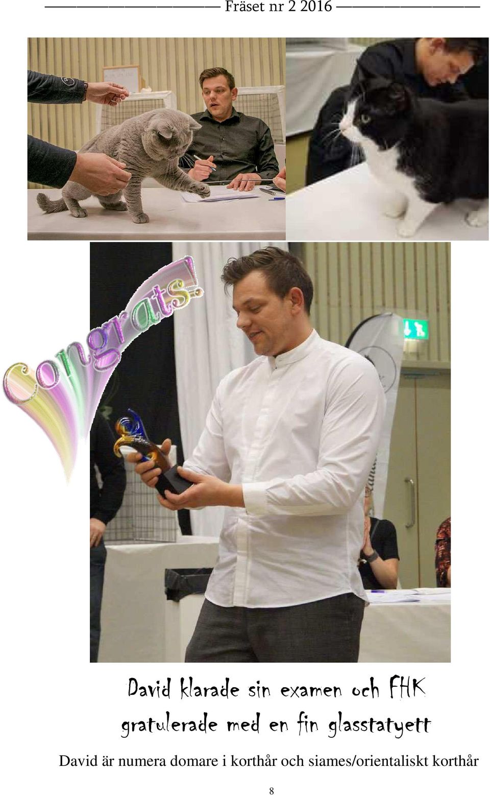 glasstatyett David är numera