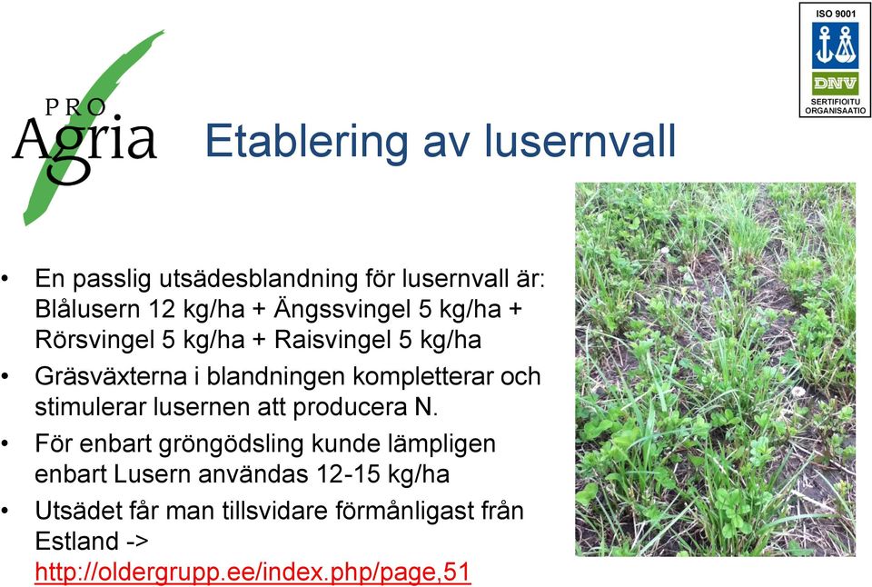och stimulerar lusernen att producera N.