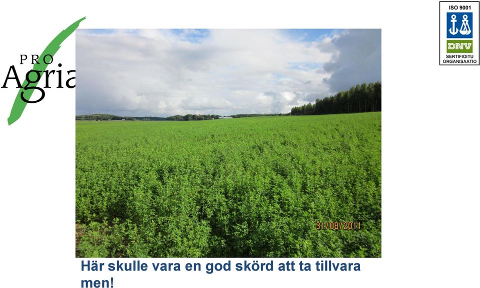 skörd att ta