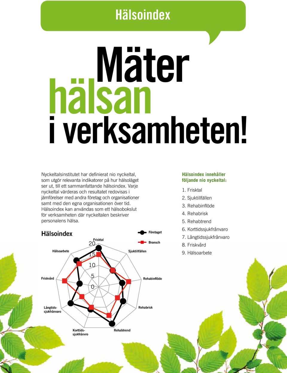 Hälsoindex kan användas som ett hälsobokslut för verksamheten där nyckeltalen beskriver personalens hälsa.